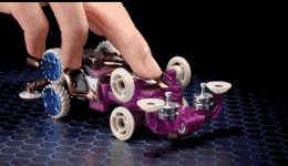 6.gif