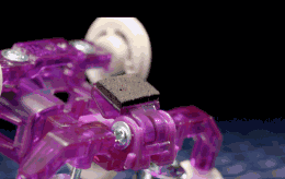7.gif